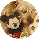 Massimo Meneghello Canoso